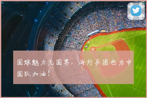 国球魅力无国界，海外乒团也为中国队加油！